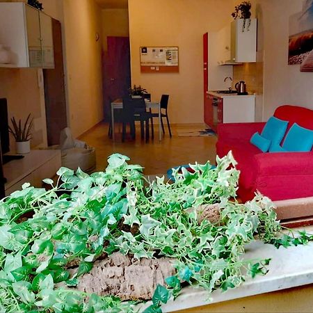 Brisa Marina apartment Alghero Bagian luar foto